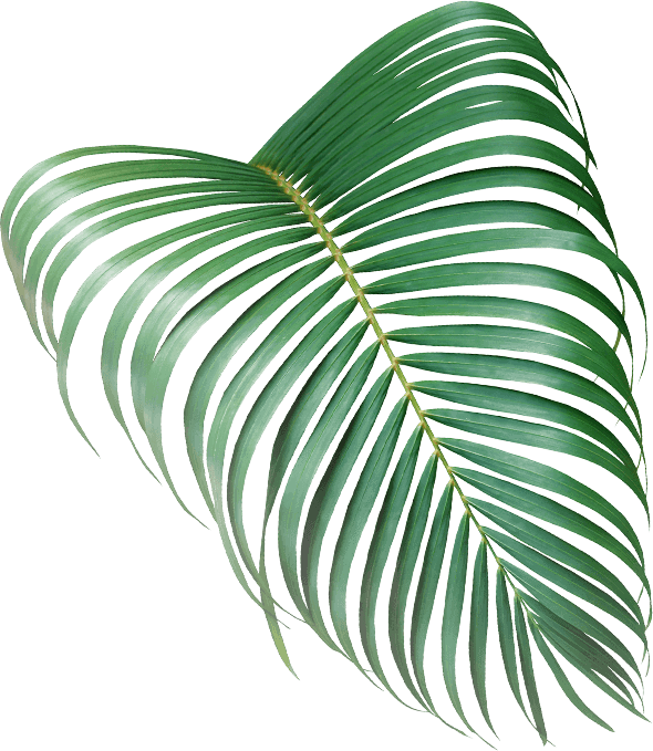 A single green palm leaf symbolizes Westray as a living workplace featuring natural light, terraces, and outdoor spaces